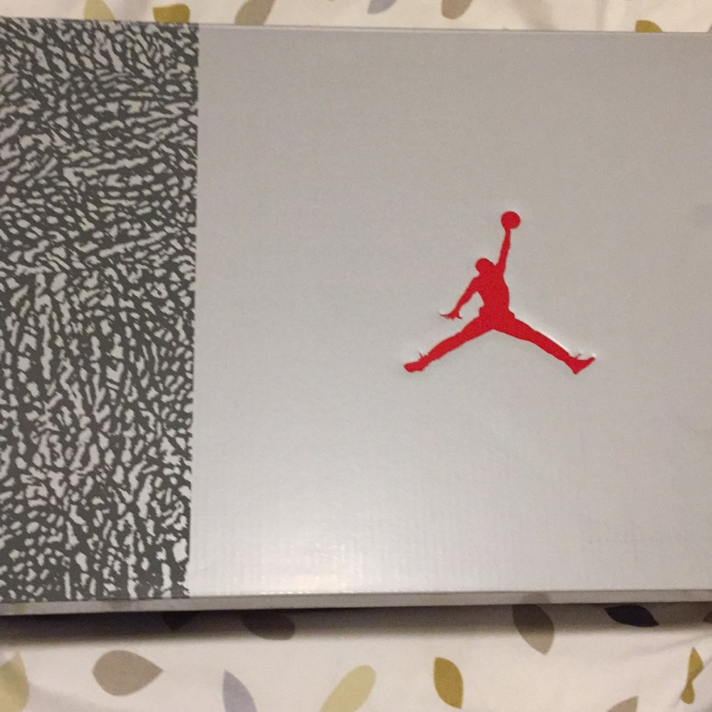 Air Jordan 3 retro “Cool Greys”